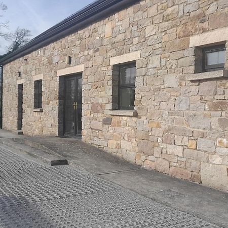 Rathgillen House Villa Nobber Buitenkant foto